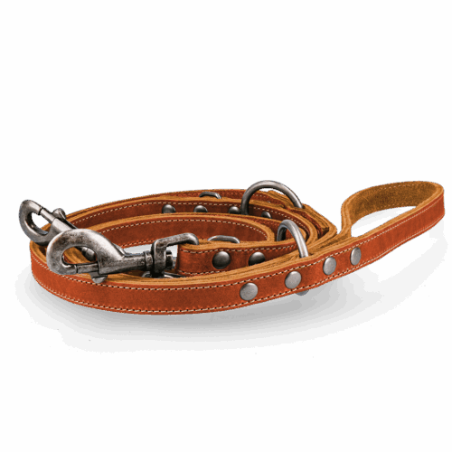 280226 Spotted! Pro Leren Trainingslijn Cognac 2x250cm