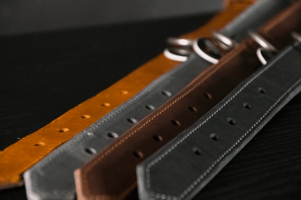 280425 Spotted! Pro Leren Halsband Bruin 2,5x40cm