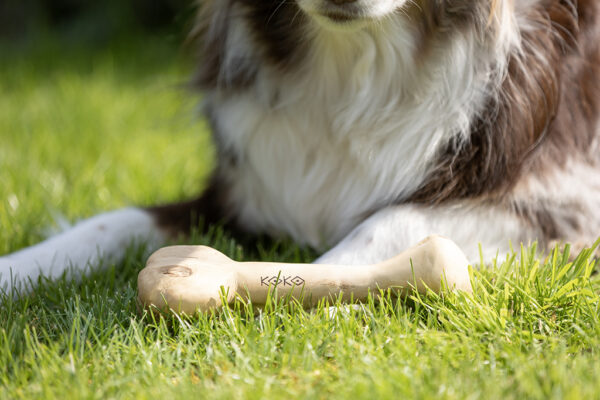 281213 Koko Coffee Bones 24 cm