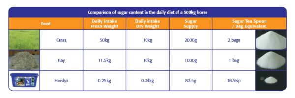 282044 Horslyx Mini Garlic