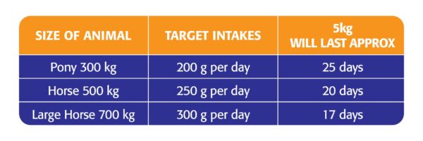 282045 Horslyx Mini Garlic