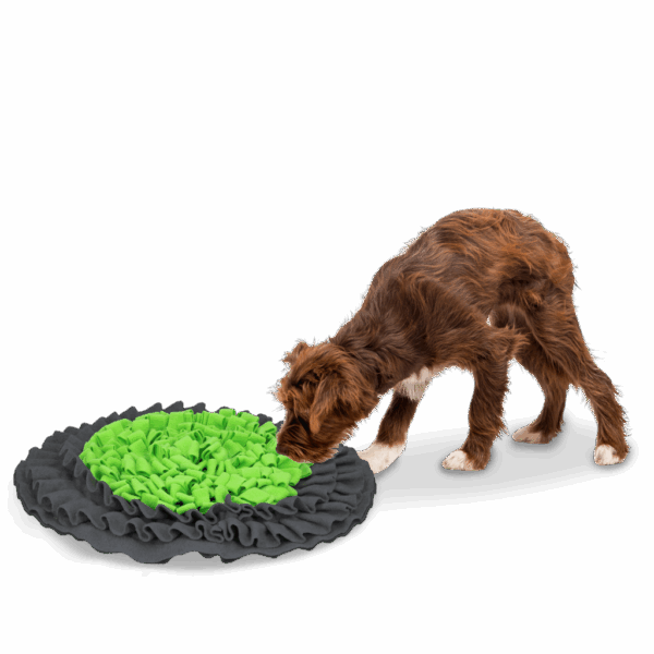 282319 Eat Slow Live Longer Snuffle Mat Groen