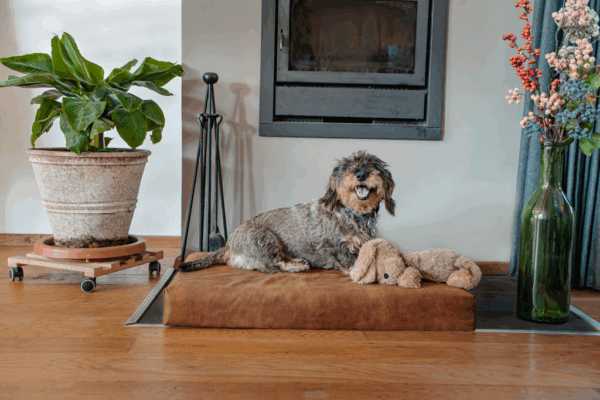 282443 Let's Sleep Mellow Mattress Orthopedisch Kussen M Antraciet