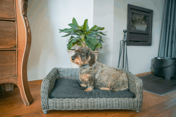 282459 Let's Sleep Cozy Basket Rieten Hondenmand M Antraciet