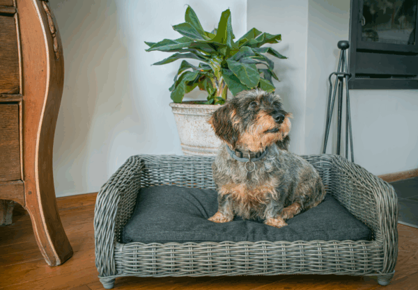 282460 Let's Sleep Cozy Basket Rieten Hondenmand M Antraciet