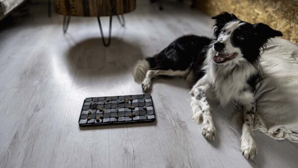 282988 Eat Slow Live Longer Lick Mat Dimensions Flower Grey