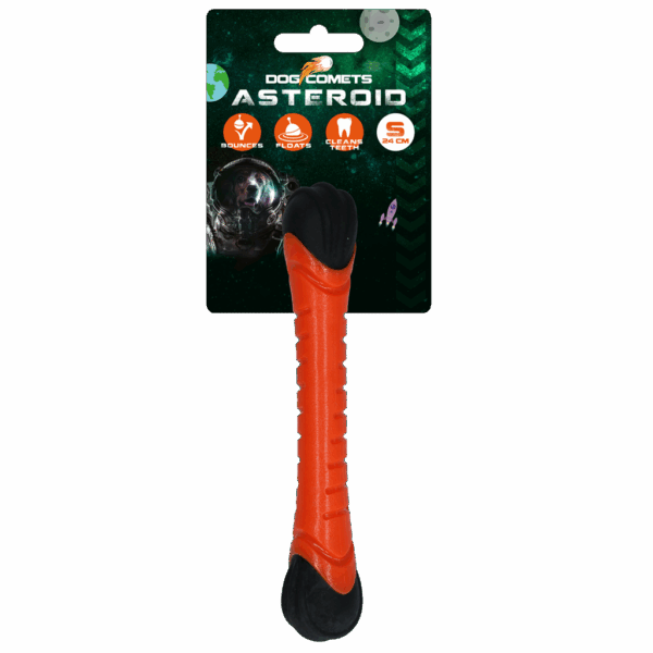 283232 Dog Comets Asteroid Orange S