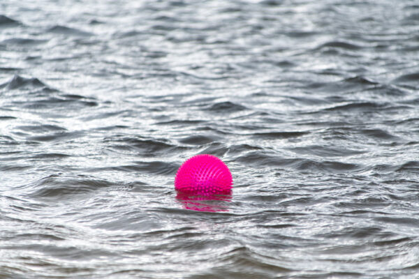 283782 Dog Comets Exoplanet Pink S