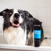 Animology Hair Of The Dog Shampoo