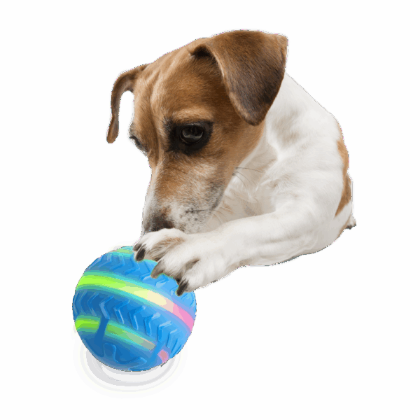 AFP Interactives-Motion activated action ball