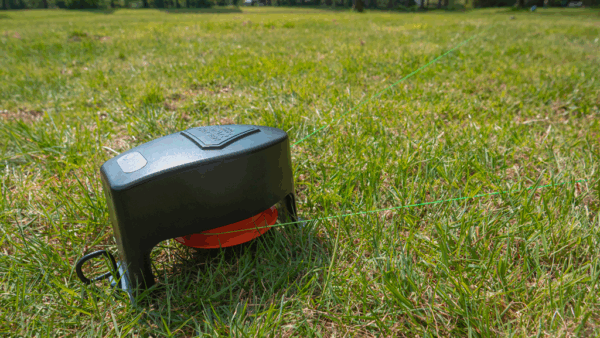 284538 Dog Comets Star Chaser