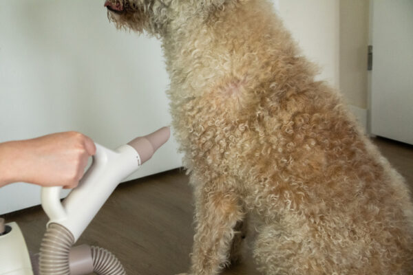 284670 Groomers Secret Pet Hair Dryer