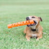 284743 Chuckit! Air Fetch Stick