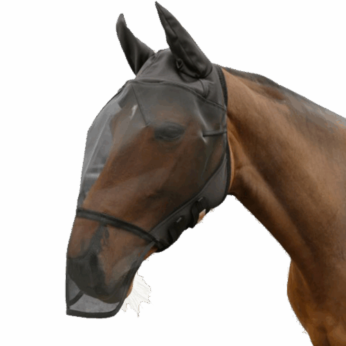 Vliegenmasker met halster  Full