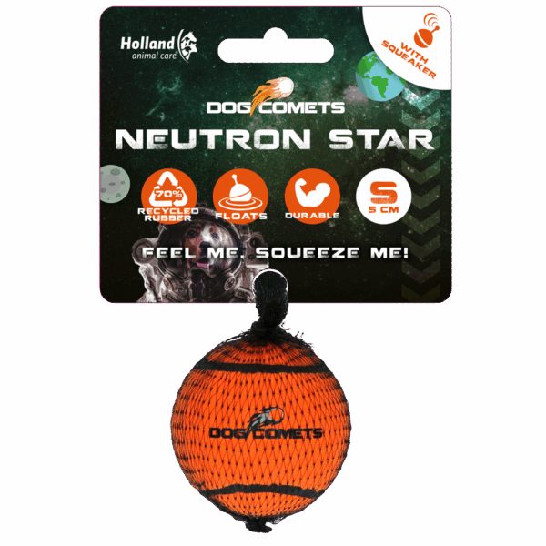Dog comets Neutron Star Tennisbal met pieper S Oranje 1st