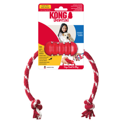 284885 KONG Dental w/Rope Sm EU