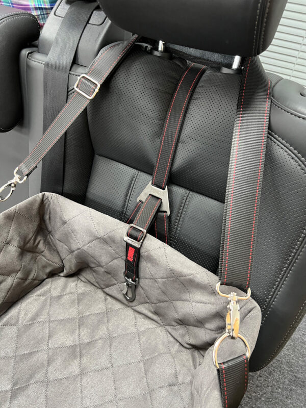 285317 KONG Ultimate Booster Seat & Tether