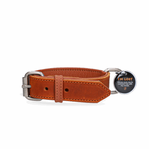 285659 Spotted! Pro Leren Halsband Cognac 2,5x40cm