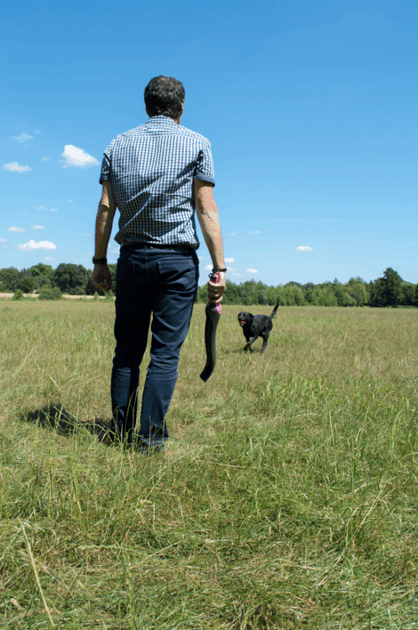 Dog Comets Star Launcher Roze