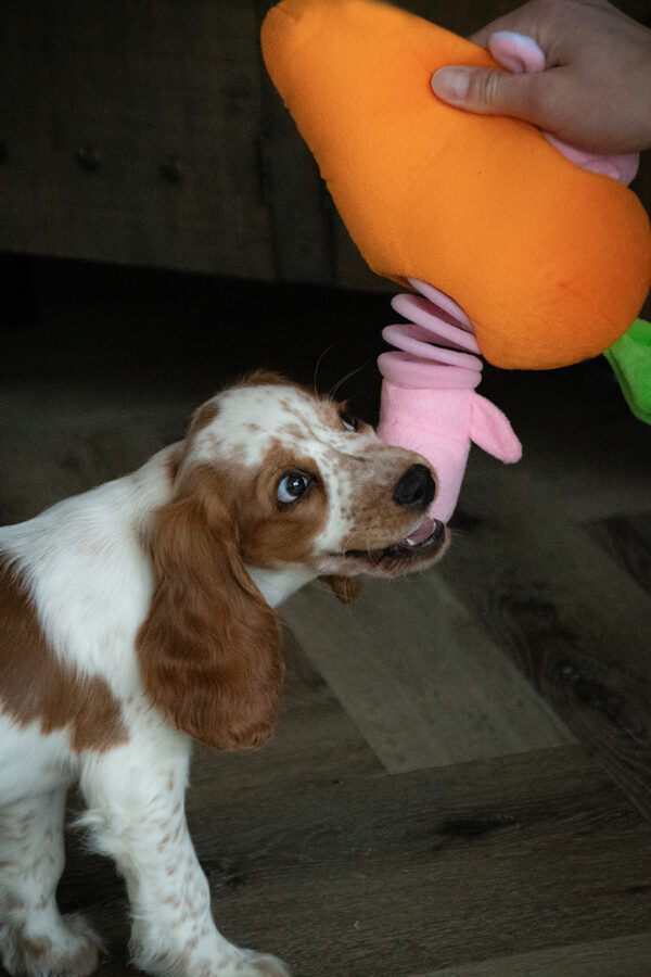 285834 Double Wobble Carrot Conejos