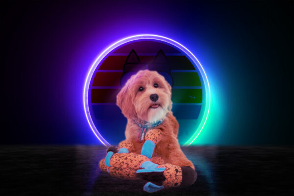 285934 Retrodog Donkey Blue M