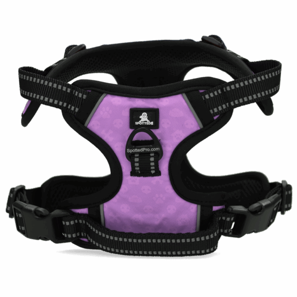 286010 Spotted! PRO Harnas Paars S