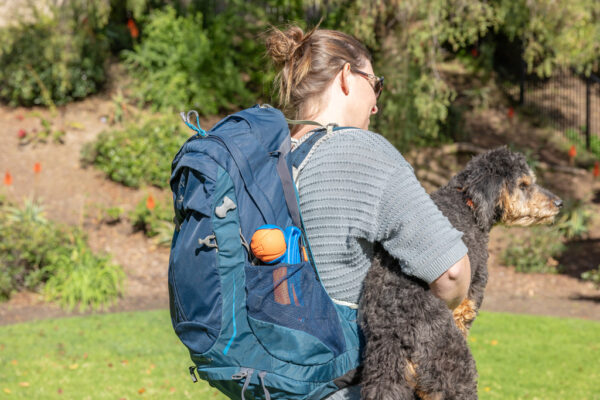 286062 Chuckit Fetch & fold mini 18m launcher