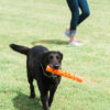 286085 Chuckit! Air Fetch Stick