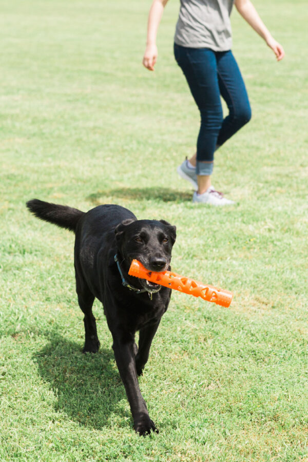 286085 Chuckit! Air Fetch Stick