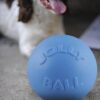 286120 Jolly Ball Bounce-n Play 20cm Baby Blauw (Bosbessengeur)