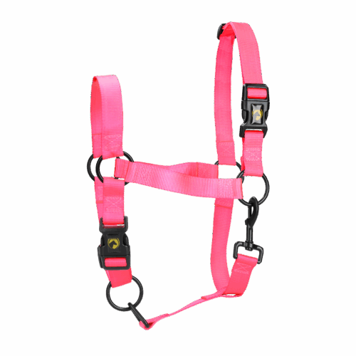 Excellent Horse Essential Halster M Pony Roze