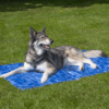 286161 CoolPets Premium Cooling Mat XL (120x75cm)