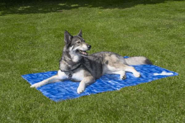 286161 CoolPets Premium Cooling Mat XL (120x75cm)