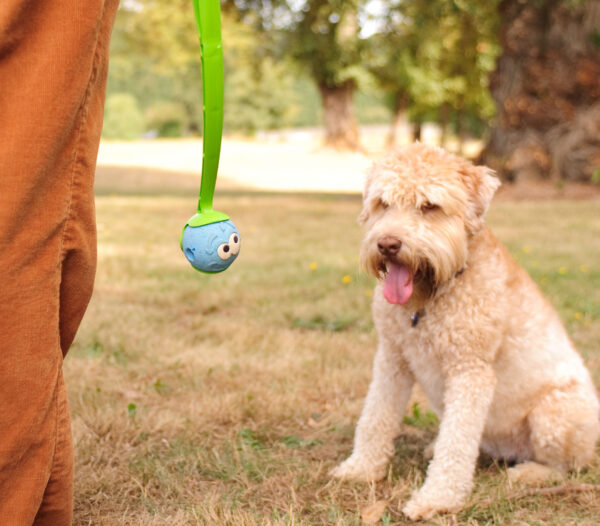 Chuckit The Whistler S 5 cm 2 Pack