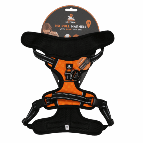 286255 Spotted! PRO Harnas Oranje M