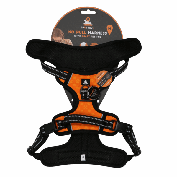 286255 Spotted! PRO Harnas Oranje M