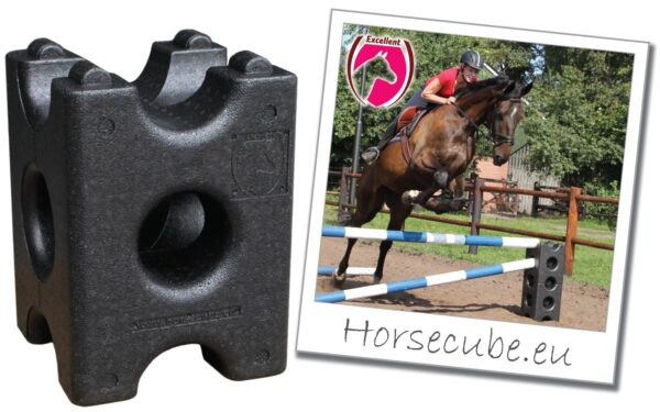 286297 Hindernisblok Horse Cube