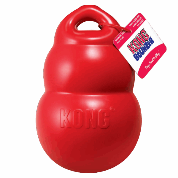 286321 KONG Bounzer Large