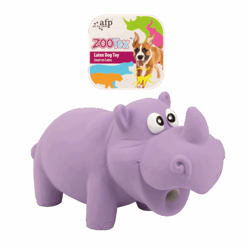 286341 AFP Reginald The rhino - S