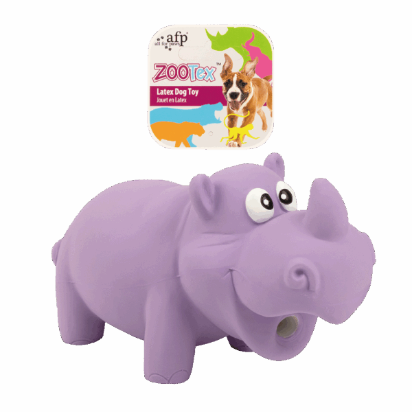 286341 AFP Reginald The rhino - S