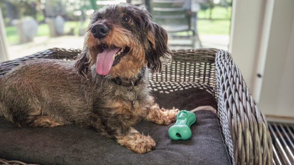 Moodies El Tranquilo (Relax)