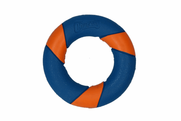 Chuckit Ultra squeaker ring