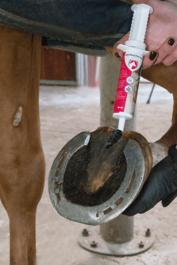 Excellent Horse Hoof Zinc Paste 60 ml
