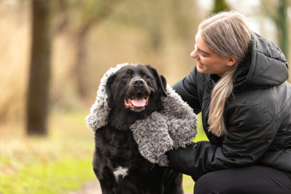 286830 Royal Dry Towel