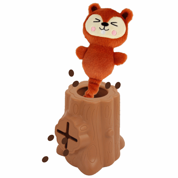 286837 AFP Treat Hider - Tree-hider squirrel