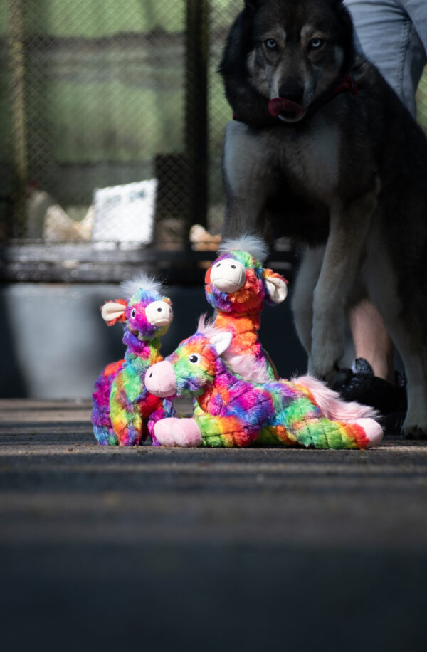 286838 FantaZoo Alpaca Medium