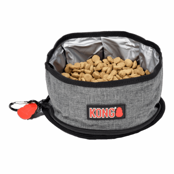 287095 KONG Fold-Up Bowl