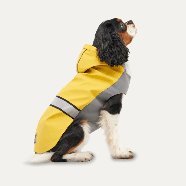 287149 Gooeez Reflective Hooded Raincoat L Yellow/Grey