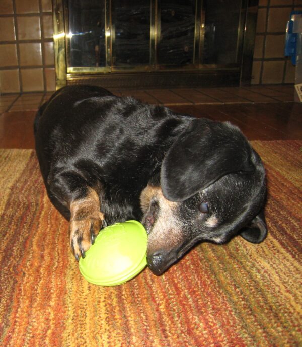 287183 Jolly Monster Mouth 10 cm