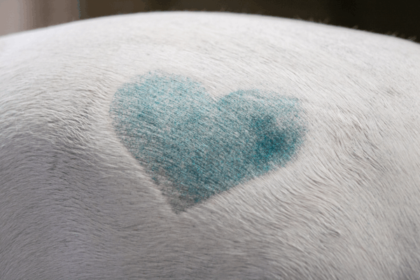 Lucky Horse Unicorn Zilver glitter spray